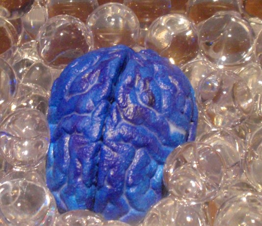 10 datos fascinantes sobre la memoria (I) Datos fascinantes sobre la memoria