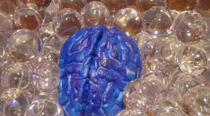 10 datos fascinantes sobre la memoria (I) Datos fascinantes sobre la memoria