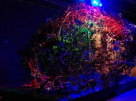 10 datos fascinantes sobre la memoria (III) 10 datos fascinantes sobre la memoria