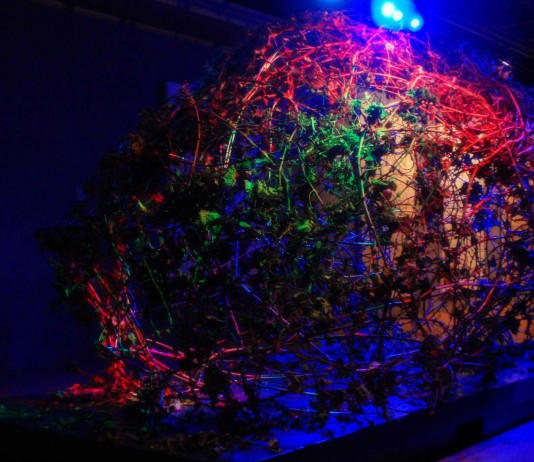 10 datos fascinantes sobre la memoria (III) 10 datos fascinantes sobre la memoria