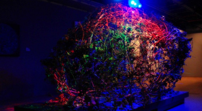 10 datos fascinantes sobre la memoria (III) 10 datos fascinantes sobre la memoria