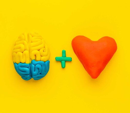 Los componentes de la inteligencia emocional | Claves del éxito componentes de la inteligencia emocional