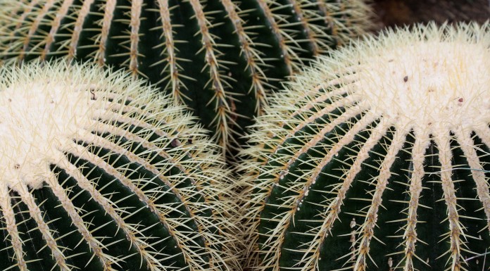 6 ideas para ayudar a tu pareja a encajar con los suegros 6 ideas para ayudar a tu pareja a encajar con los suegros