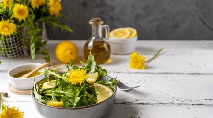 ¿Qué son los diuréticos? | Tipos y para qué sirven Qué son los diuréticos