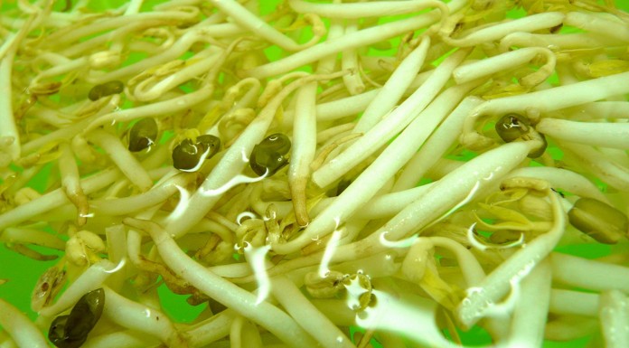 Súper plantas contra la menopausia 1ª parte remedios menopausia