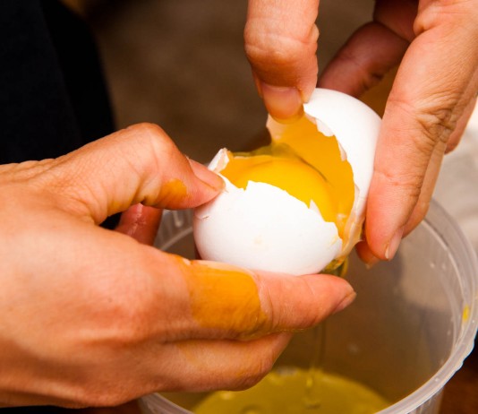 8 alimentos que todos los niños deberían comer 8 alimentos que todos los niños deberían comer