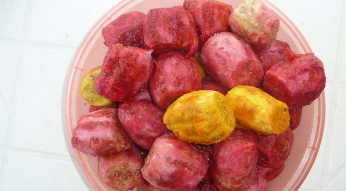 7 alimentos para tener una piel luminosa 7 alimentos para tener una piel luminosa