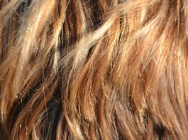 Remedio casero natural para favorecer el crecimiento del cabello Remedio casero natural para favorecer el crecimiento del cabello