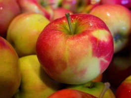 10 alimentos que te ayudan a controlar el apetito 10 alimentos que te ayudan a controlar el apetito