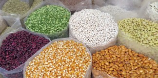 Los 10 alimentos que te ayudarán a quemar más grasa