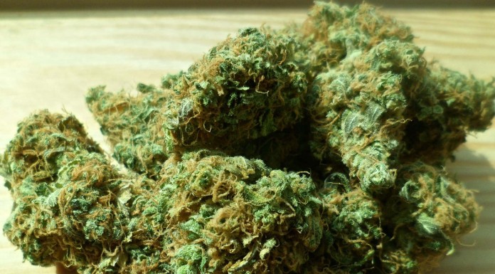 Los adolescentes que fuman marihuana pueden tener problemas de memoria Los adolescente que fuman marihuana pueden tener problemas de memoria