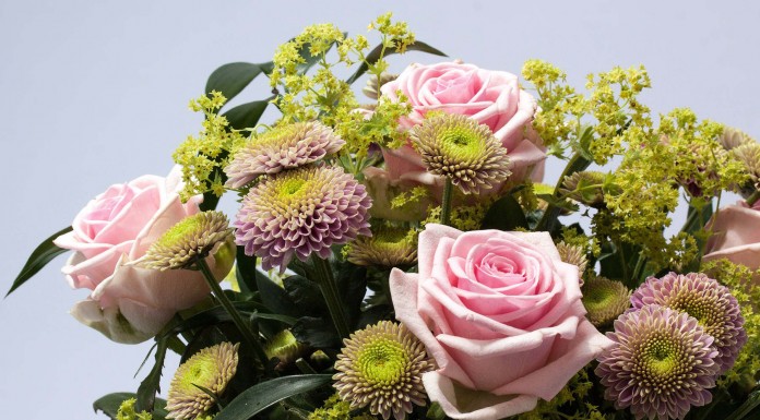 5 cosas que la gente hace en lugar de disculparse… y que no sirven para nada 5 cosas que la gente hace en lugar de disculparse