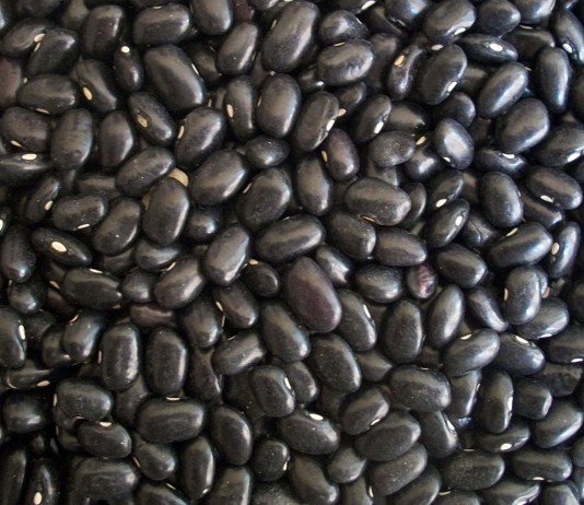 Los mejores superalimentos para perder peso (I) Los mejores superalimentos para perder peso