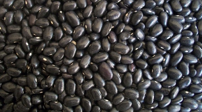 Los mejores superalimentos para perder peso (I) Los mejores superalimentos para perder peso