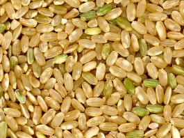 Los mejores superalimentos para perder peso (II) Los mejores superalimentos para perder peso