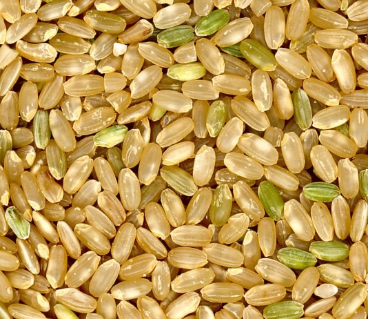 Los mejores superalimentos para perder peso (II) Los mejores superalimentos para perder peso