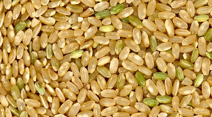 Los mejores superalimentos para perder peso (II) Los mejores superalimentos para perder peso