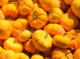 12 alimentos ricos en magnesio, un mineral indispensable 12 alimentos ricos en magnesio, un mineral indispensable