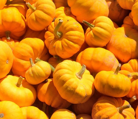 12 alimentos ricos en magnesio, un mineral indispensable 12 alimentos ricos en magnesio, un mineral indispensable