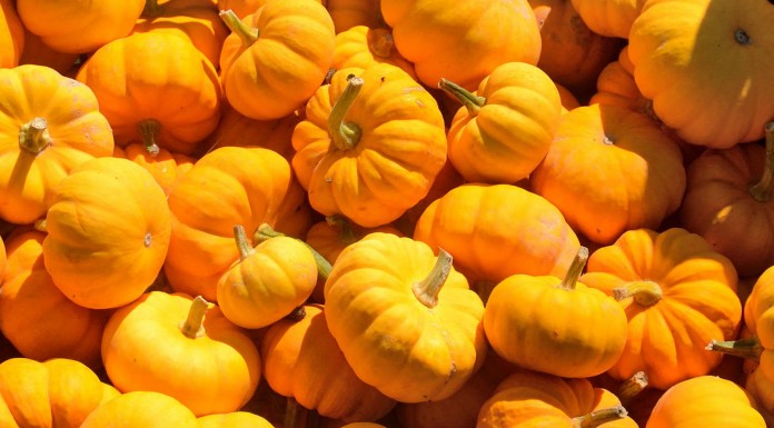 12 alimentos ricos en magnesio, un mineral indispensable 12 alimentos ricos en magnesio, un mineral indispensable