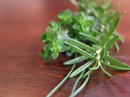4 hierbas medicinales para mejorar la salud pulmonar y fortalecer los pulmones 4 hierbas medicinales para mejorar la salud pulmonar y fortalecer los pulmones