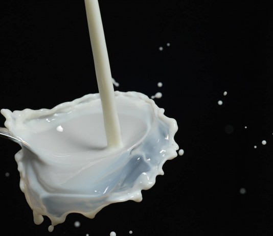 Alimentos para tener unos huesos fuertes (I) Alimentos que necesitas para tener unos huesos fuertes