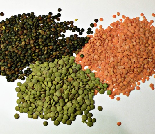 Los mejores alimentos ricos en fibra (II) Los mejores alimentos ricos en fibra