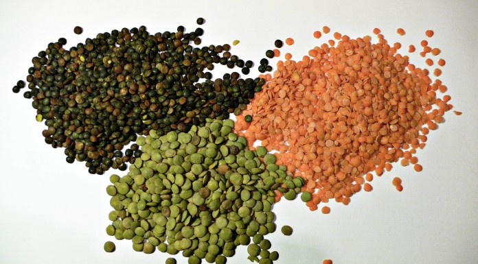 Los mejores alimentos ricos en fibra (II) Los mejores alimentos ricos en fibra