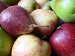 Los mejores alimentos ricos en fibra (III) Los mejores alimentos ricos en fibra