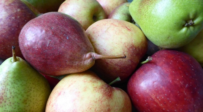 Los mejores alimentos ricos en fibra (III) Los mejores alimentos ricos en fibra