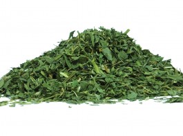 ¿Conoces los beneficios de la alfalfa para la salud? ¿Conoces los beneficios de la alfalfa para la salud?