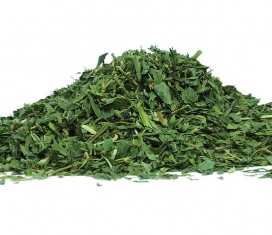 ¿Conoces los beneficios de la alfalfa para la salud? ¿Conoces los beneficios de la alfalfa para la salud?