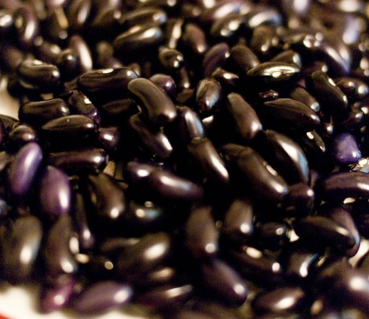 10 beneficios de los frijoles negros | Legumbres que reemplazan la carne 8 razones por las que deberías consumir frijoles negros