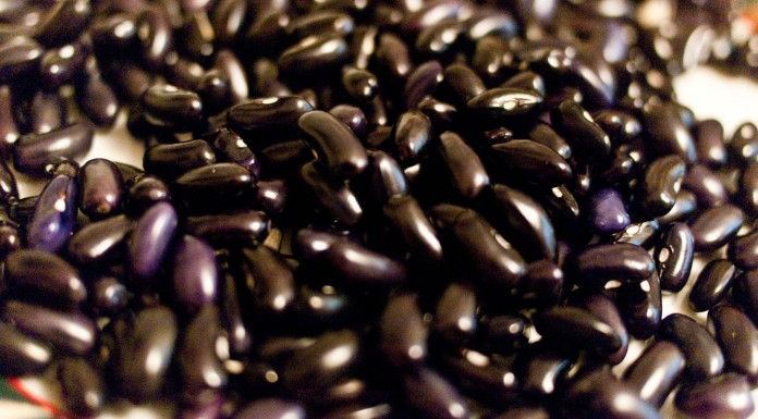 10 beneficios de los frijoles negros | Legumbres que reemplazan la carne 8 razones por las que deberías consumir frijoles negros