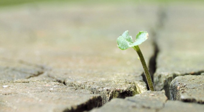 Cómo tratar con gente difícil (I)