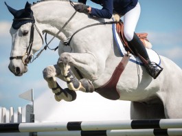 6 obstáculos que te impiden alcanzar tus sueños y cómo superarlos (I) 6 obstáculos que te impiden alcanzar tus sueños y cómo superarlos (I)