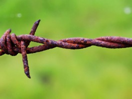 10 verdades que debes aceptar para triunfar en la vida 10 verdades que debes aceptar para triunfar en la vida