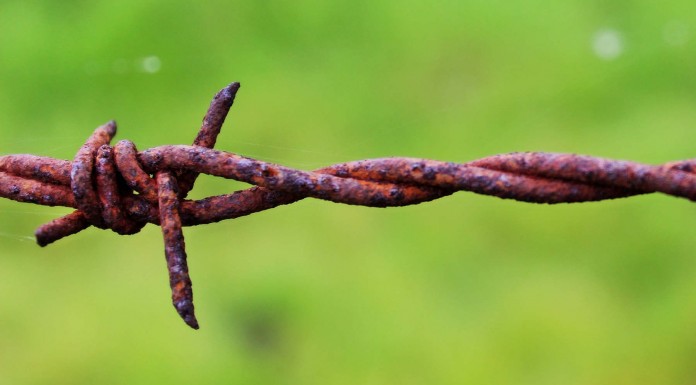 10 verdades que debes aceptar para triunfar en la vida 10 verdades que debes aceptar para triunfar en la vida