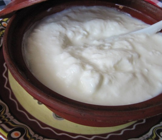 Propiedades y beneficios del kéfir, un aliado natural para tus defensas Propiedades y beneficios del kéfir, un aliado natural para tus defensas