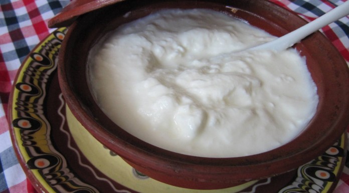 Propiedades y beneficios del kéfir, un aliado natural para tus defensas Propiedades y beneficios del kéfir, un aliado natural para tus defensas