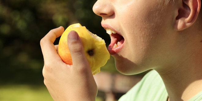 ¿Cuál es el mejor momento del día para comer fruta?