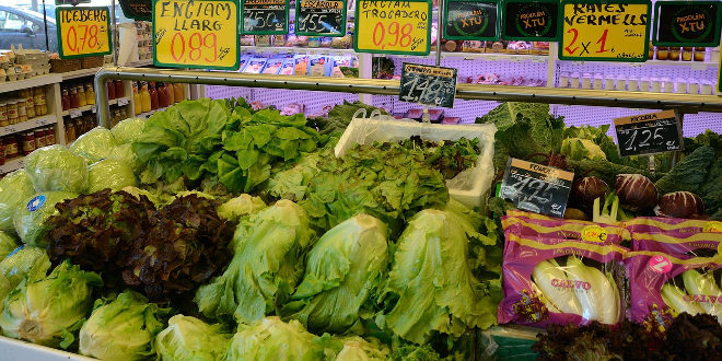 verduras