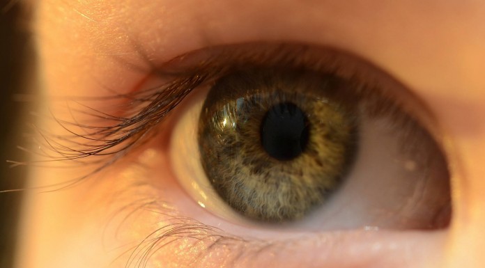 14 alimentos para mejorar la vista y prevenir la pérdida de visión (II) 14 alimentos para mejorar la vista y prevenir la pérdida de visión