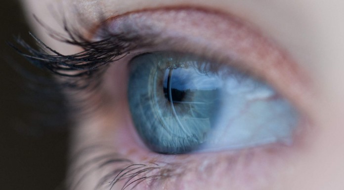 14 alimentos para mejorar la vista y prevenir la pérdida de visión (I) 14 alimentos para mejorar la vista y prevenir la pérdida de visión