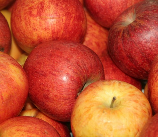 15 beneficios de comer manzanas todos los días (I) 15 beneficios de comer manzanas todos los días (I)