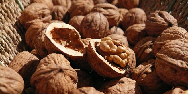 nueces