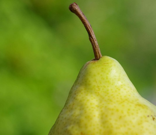 11 razones para comer una pera todos los días (II) 11 razones para comer una pera todos los días (II)
