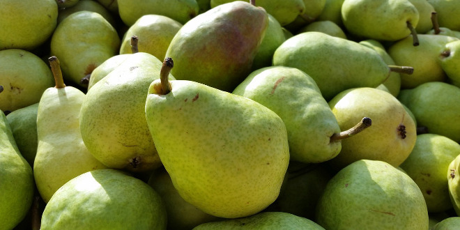 11 razones para comer una pera todos los días (II)