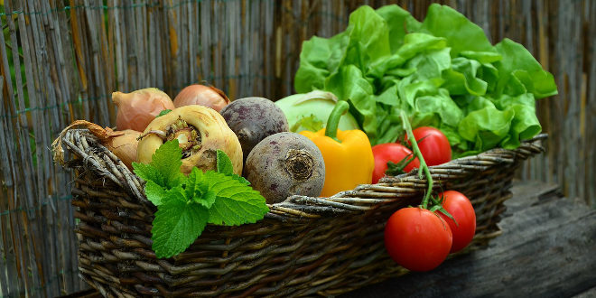 9 razones para comer cinco porciones de frutas y verduras al día