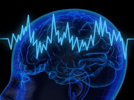 5 formas en las que el estrés afecta a tu cerebro 5 formas en las que el estrés afecta a tu cerebro